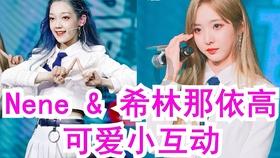 新高达破坏者